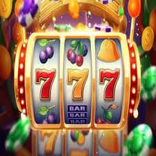 557bet